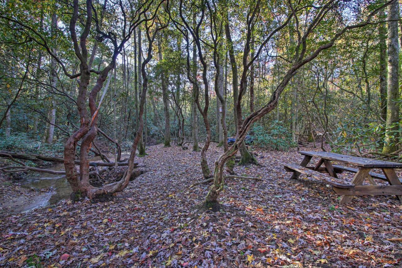 5-Acre North Georgia Mountain Retreat With Creek! Villa Sautee Nacoochee Kültér fotó